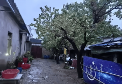 偶尔能看到几户亮灯